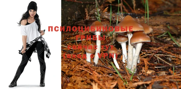 шишки Осташков