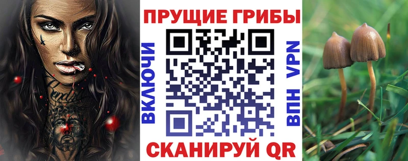 Псилоцибиновые грибы MAGIC MUSHROOMS  купить наркотики цена  Корсаков 